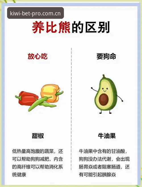 奇异果体育官网入口完整指南：从下载到登录的全流程深度分析